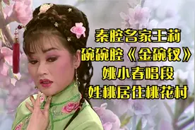 秦腔名家王莉碗碗腔《金碗钗》 姚小春唱段 姓桃居住桃花村视频封面