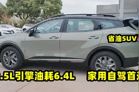买省油的SUV，选这3台不会错，配2.5L引擎油耗6.4，家用自驾首选视频封面