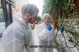 为什么智能玻璃大棚为喜欢建造的高大上，看完这个视频九明白了视频封面