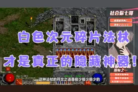 《暗黑破坏神2》白色次元碎片的法杖才是真正的隐藏神器！