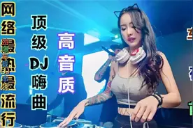 顶级重低音炮（渴死的鱼）车载DJ舞曲、强劲旋律好听又烧脑、