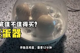 开箱测试蒸蛋器，试试蒸蛋效果如何，到底值不值得买？视频封面