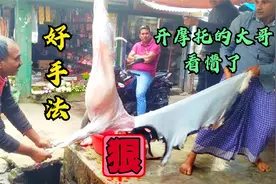 见识一下印度人杀羊去皮分解，真的是开眼界了，手法一绝视频封面