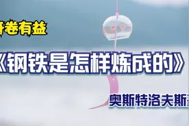 开卷有益：名著品读——《钢铁是怎样炼成的》： 第一回。视频封面