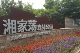 嘉兴的城市绿肺-湘家荡森林公园视频封面