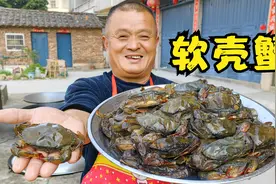 980买12斤软壳蟹，号称蟹中极品连壳都能吃，油炸外酥里嫩，真香视频封面