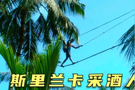 斯里兰卡采酒人，每天上演高空走钢丝，蹲守20米高的树，纪录片视频封面