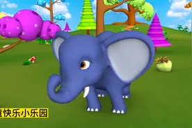 动物们在一起玩耍视频封面