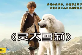 超治愈短片，一个天使般的小男孩，一条聪明勇敢的牧羊犬视频封面