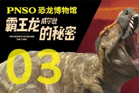PNSO恐龙博物馆——霸王龙威尔逊的秘密 03视频封面