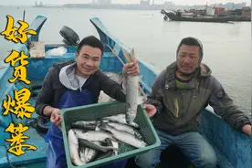 阿烽跟表哥出海抓鱼，没想到一网比一网收获好，直接就爆篓了视频封面