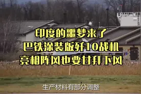 印度的噩梦来了！巴铁涂装版歼10战机亮相，阵风也要甘拜下风视频封面