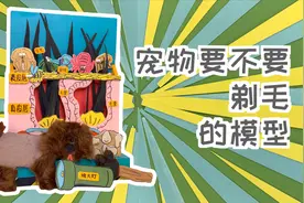 为啥天热不要给宠物剃毛呢？狗狗皮肤放大数百倍给你看