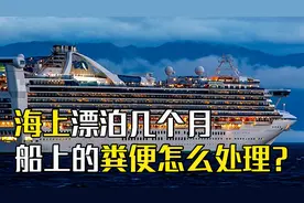 邮轮长期漂泊海上，厕所里的粪便都去哪了？难道直接排放去喂鱼？视频封面