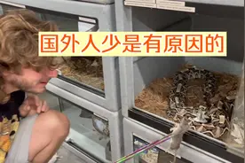 外国人少是有原因的 看完这个你就明白了视频封面