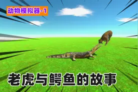 动物擂台赛01：百兽之王老虎VS大嘴鳄鱼，谁能获胜呢？结局意外了