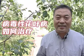 病毒性花叶病怎么治疗？视频封面
