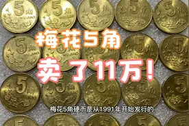 卖了11万！梅花5角一直在涨，1993年的你能找到吗视频封面