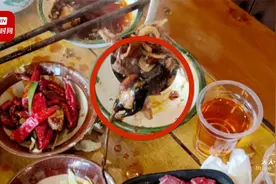 男子称在一一牛杂火锅吃出整只老鼠：捞出时已经煮烂了视频封面