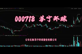 郭子聊股票：苏宁环球