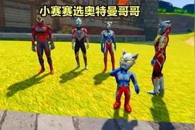 小赛赛没有奥特曼哥哥，只能到令迦叔叔那里选哥哥。视频封面