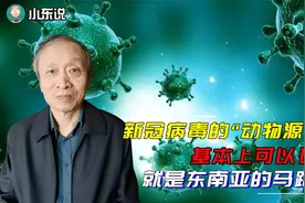 新冠病毒的“动物源头”基本上可以确定，就是东南亚的马蹄蝠视频封面