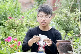 月季病虫害太多，盘点一下常用药物，可以轻松应对大部分病虫害视频封面