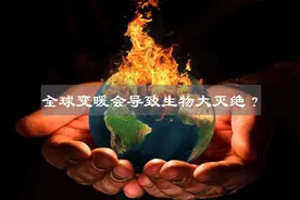地球正在疯狂吸热，2021年气候将大变！会导致生物大灭绝？视频封面