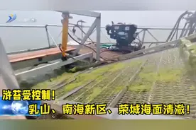 浒苔抑制了！乳山南黄、南海新区，荣城安全了！