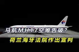 马航MH17空难案告破？荷兰海牙法院作出宣判，3人犯下“谋杀罪”视频封面