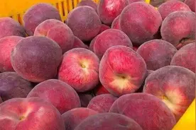 今天才发现，保存毛桃如此简单，放几个月一点不坏味更鲜！快学学