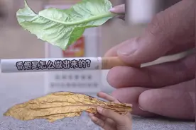 抽烟那么久，终于看到烟叶是怎么制作成烤烟的，长见识了吗？