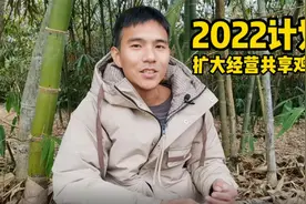 小伙计划扩大规模，共享鸡舍不仅养鸡，还要养这几种禽类视频封面