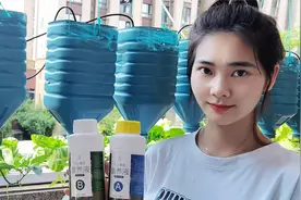 教你如何配制水培蔬菜无土栽培的营养液视频封面