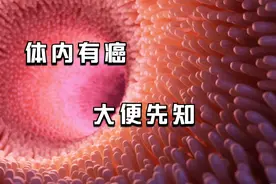 体内有癌，大便先知？医生：晨起大便若有4种表现，早做肠镜检查视频封面