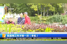 央视发布中国老年人消费意愿排行榜 昆明老人最爱买什么？视频封面