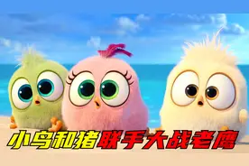 为了守护家园！暴躁小鸟联手蠢萌绿猪，合力迎战鹰岛冰女王！视频封面