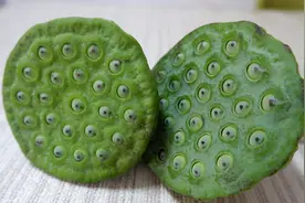 没想到莲蓬子也这么好吃，每一口都爆开，酥脆香甜，吃起来真不错