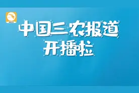 别错过，能“吃”的新闻节目宣传片来了！