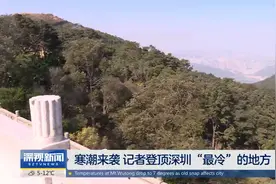 寒潮来袭 记者登顶深圳“最冷”的地方视频封面