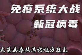 你身体里的小战士正在为你拼命！3D免疫系统大战新冠病毒视频封面