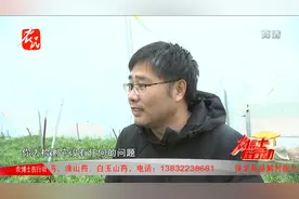 专家解读韭菜用药的食品安全问题