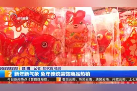 新年新气象  兔年传统装饰商品热销视频封面
