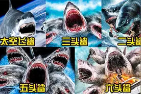 盘点五头变异鲨鱼，你觉得哪只更厉害？鲨鱼的头越多越凶猛