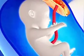 孕期遭遇装修怎么办？对胎宝来说，甲醛可能产生什么后果？视频封面