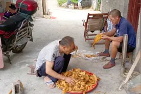 烟叶的制作过程，农民纯手工加工，看完你还敢抽吗