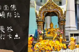 萧泰后vlog#6 最正确的曼谷四面佛拜法视频封面