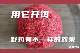 开饵时加入它，开出的饵料超级腥，天凉水冷时用它比蓝鲫还好用视频封面