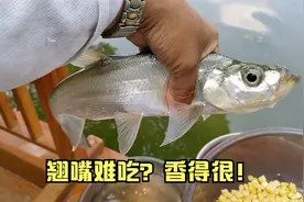 小翘嘴刺多不好吃？这样做能馋哭几条街外的小朋友！