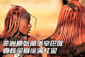 非洲辛巴红泥人，3头牛娶一个媳妇，新娘必须爬行才能进家门视频封面